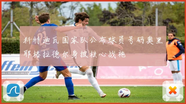 科特迪瓦国家队公布球员号码奥里耶格拉德尔身披核心战袍