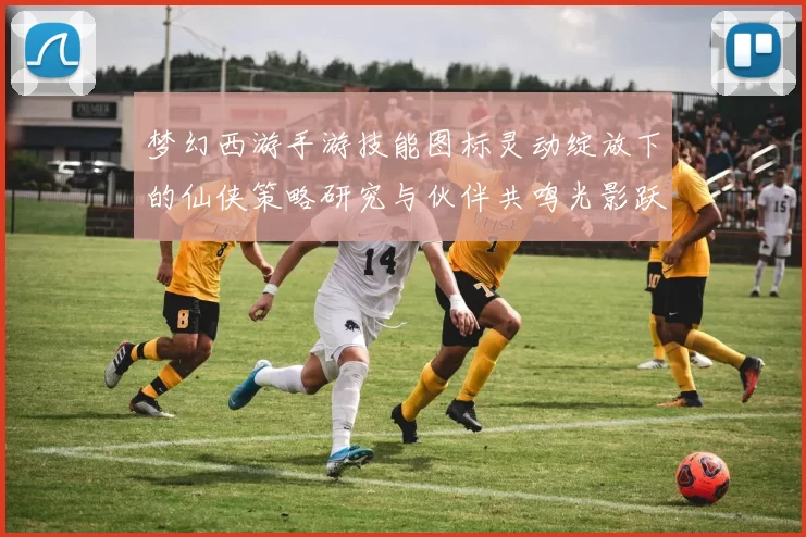 梦幻西游手游技能图标灵动绽放下的仙侠策略研究与伙伴共鸣光影跃