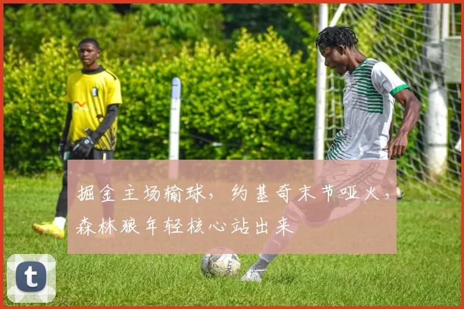 掘金主场输球，约基奇末节哑火，森林狼年轻核心站出来